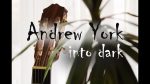 Andrew York — into dark (Roman Nikolaev), finger tab